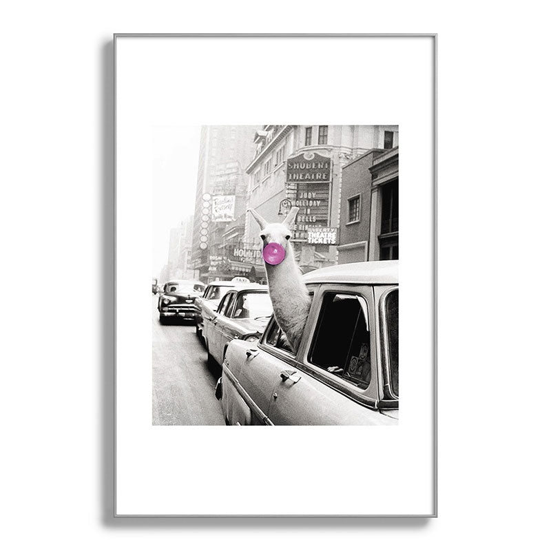 Perfect Pink Bubble Gum Llama taking a New York Taxi black and white photograph Framed Art Print Gallery Image 138