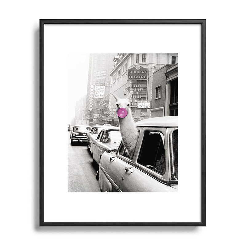 Perfect Pink Bubble Gum Llama taking a New York Taxi black and white photograph Framed Art Print Gallery Image 112