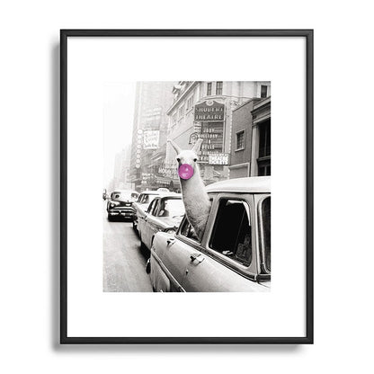 Perfect Pink Bubble Gum Llama taking a New York Taxi black and white photograph Framed Art Print Gallery Image 112