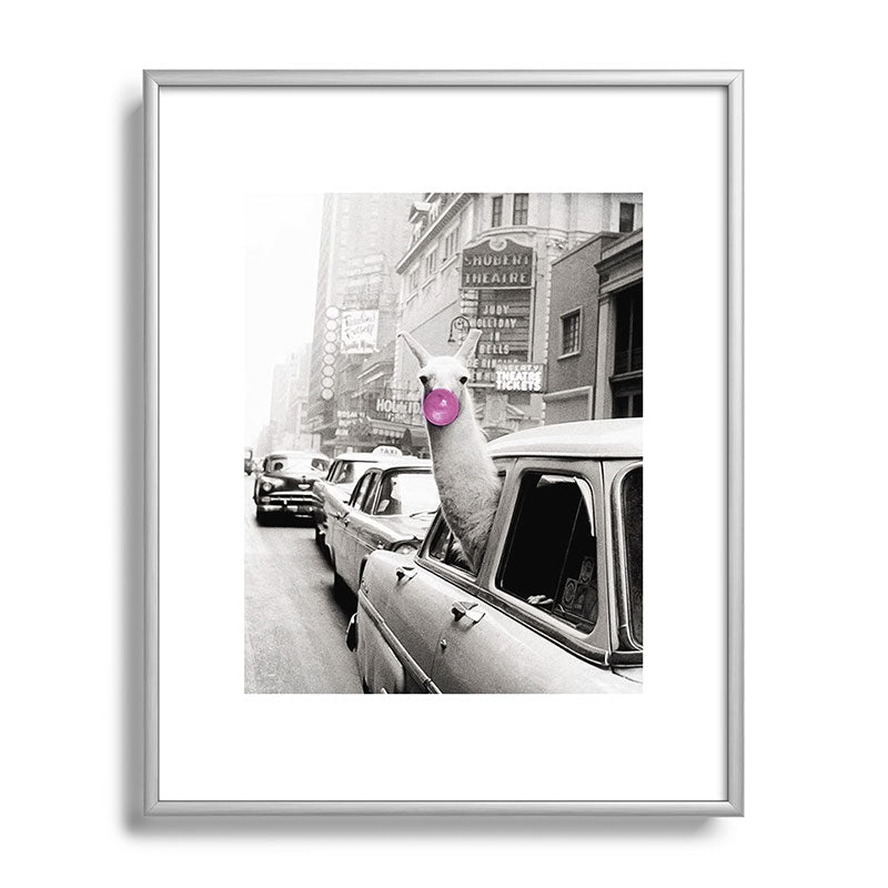 Perfect Pink Bubble Gum Llama taking a New York Taxi black and white photograph Framed Art Print Gallery Image 129