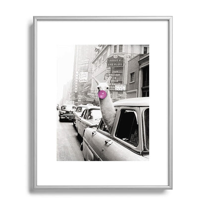 Perfect Pink Bubble Gum Llama taking a New York Taxi black and white photograph Framed Art Print Gallery Image 129