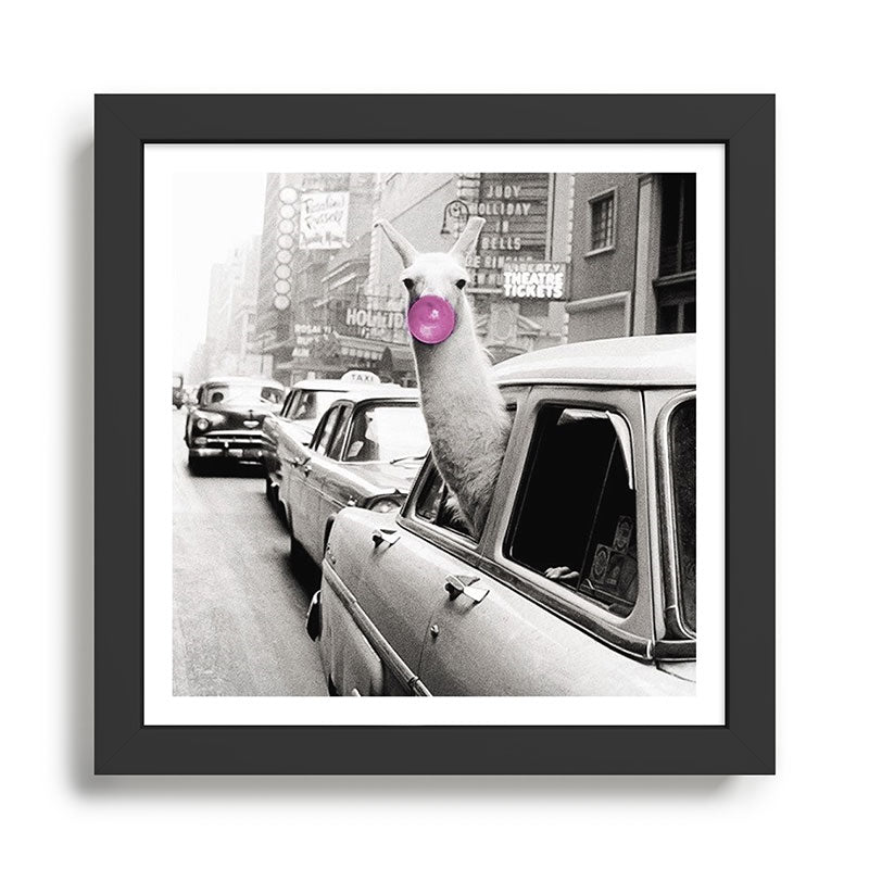 Perfect Pink Bubble Gum Llama taking a New York Taxi black and white photograph Framed Art Print Gallery Image 2
