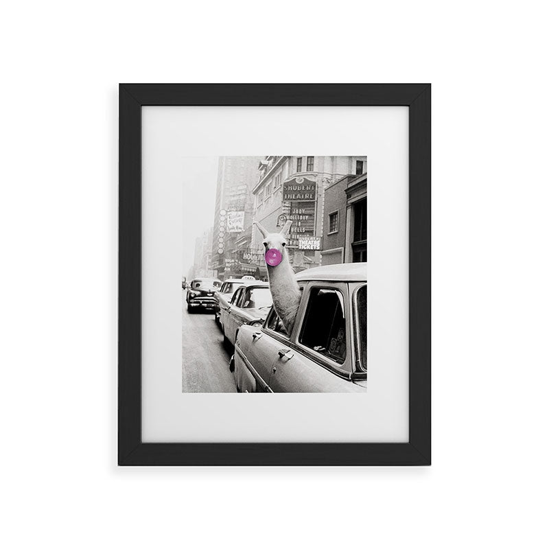 Perfect Pink Bubble Gum Llama taking a New York Taxi black and white photograph Framed Art Print Gallery Image 47
