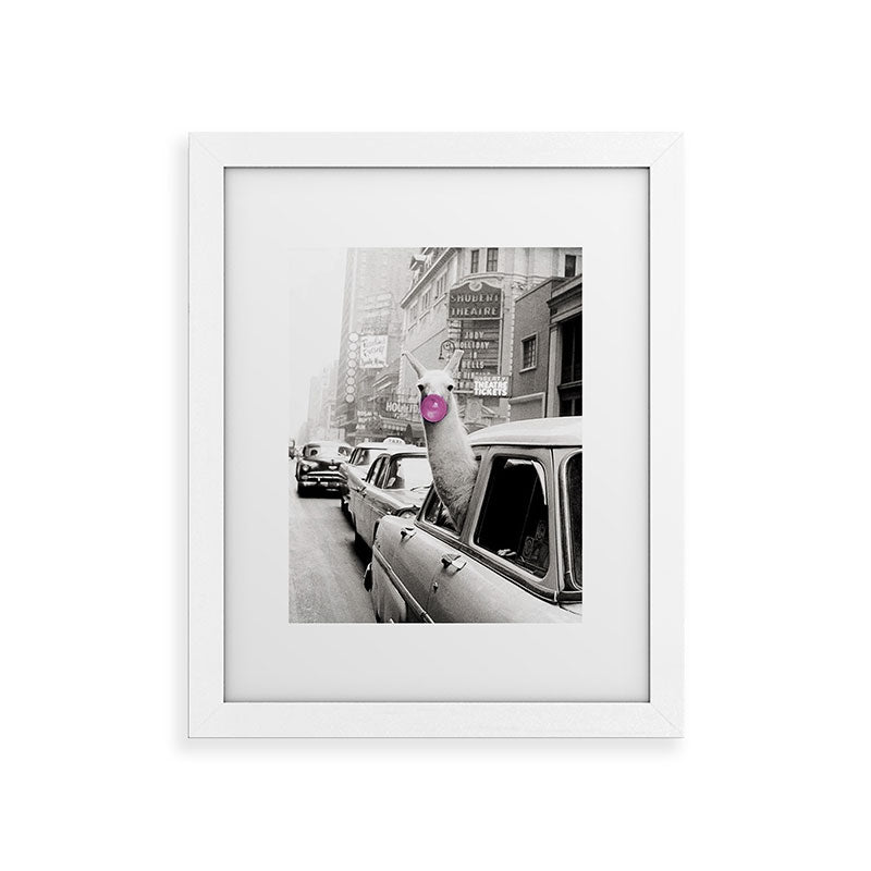Perfect Pink Bubble Gum Llama taking a New York Taxi black and white photograph Framed Art Print Gallery Image 75