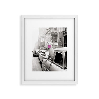 Perfect Pink Bubble Gum Llama taking a New York Taxi black and white photograph Framed Art Print Gallery Image 34