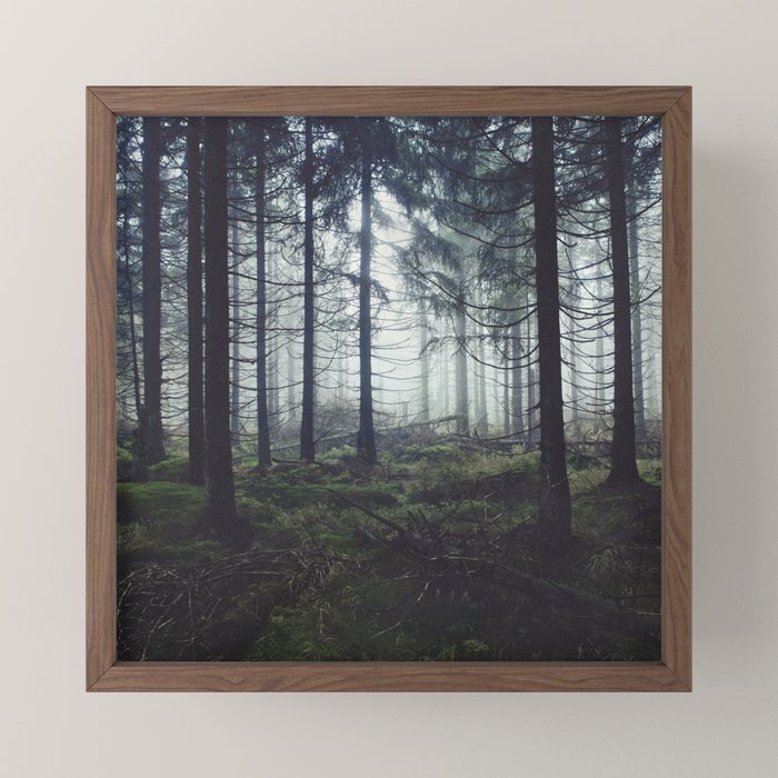 Through The Trees Mini Art Print Gallery Image 2