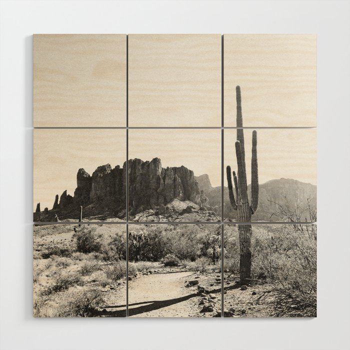 ARIZONA DESERT II Wood Wall Art Gallery Image 3