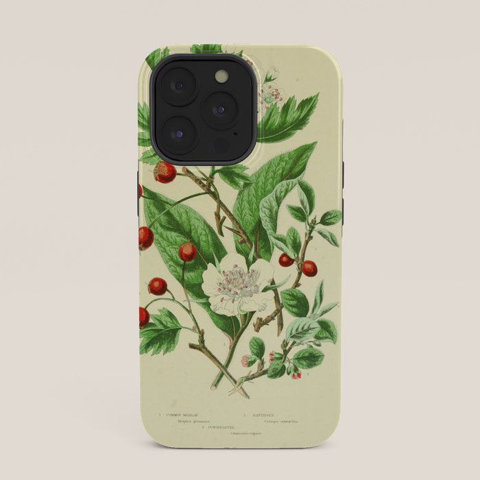 Hawthorn by Anne Pratt, 1800s (benefitting The Nature Conservancy) iPhone Case Gallery Image 35