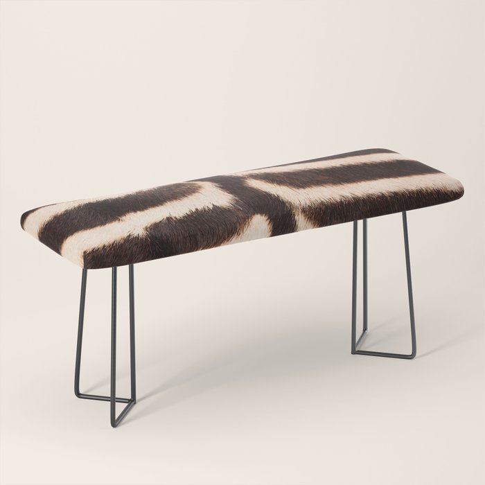 Zebra - zebra stripes -zebra skin - genuine - beautiful Bench Gallery Image 1