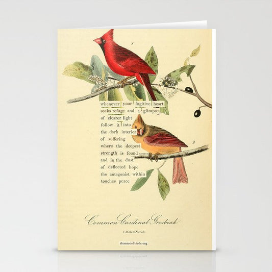 Bird Divinations: Cardinal (about: almanacofbirds.org) Stationery Card Gallery Image 1