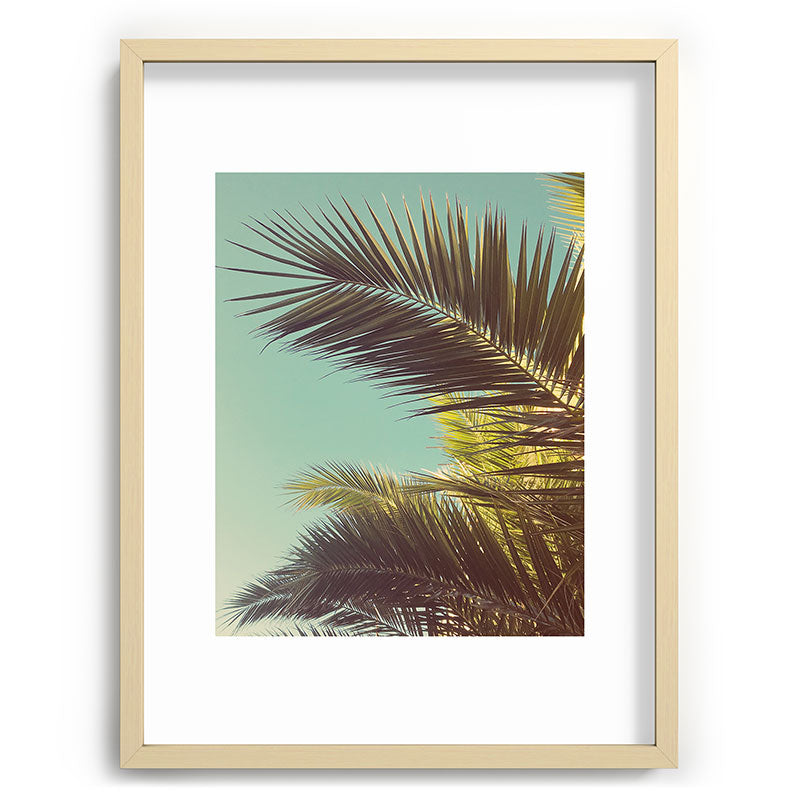 Autumn Palms Framed Art Print Gallery Image 99