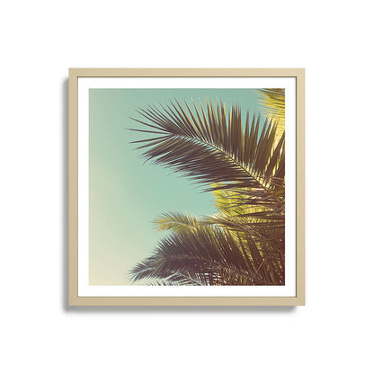Autumn Palms Framed Art Print Gallery Image 27