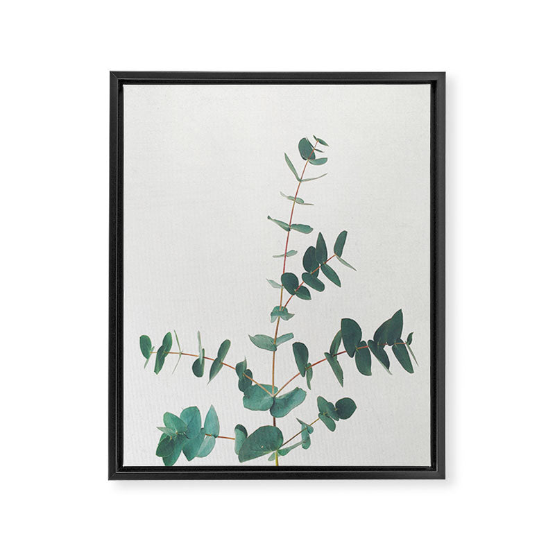 Eucalyptus Framed Canvas Print Gallery Image 5