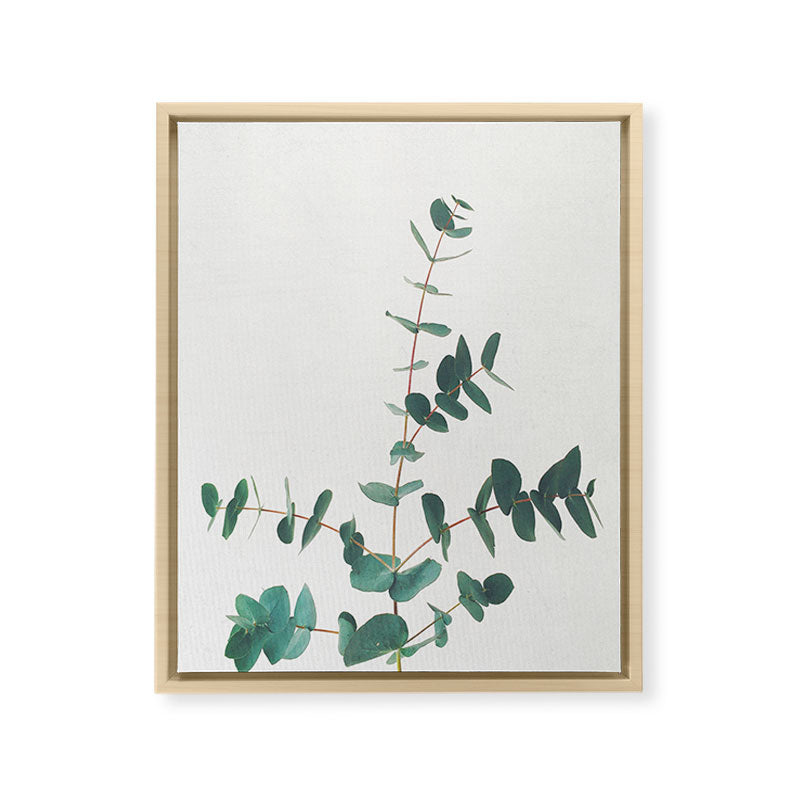 Eucalyptus Framed Canvas Print Gallery Image 21
