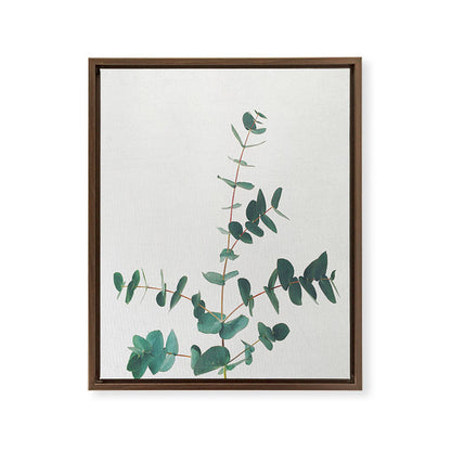 Eucalyptus Framed Canvas Print Gallery Image 13