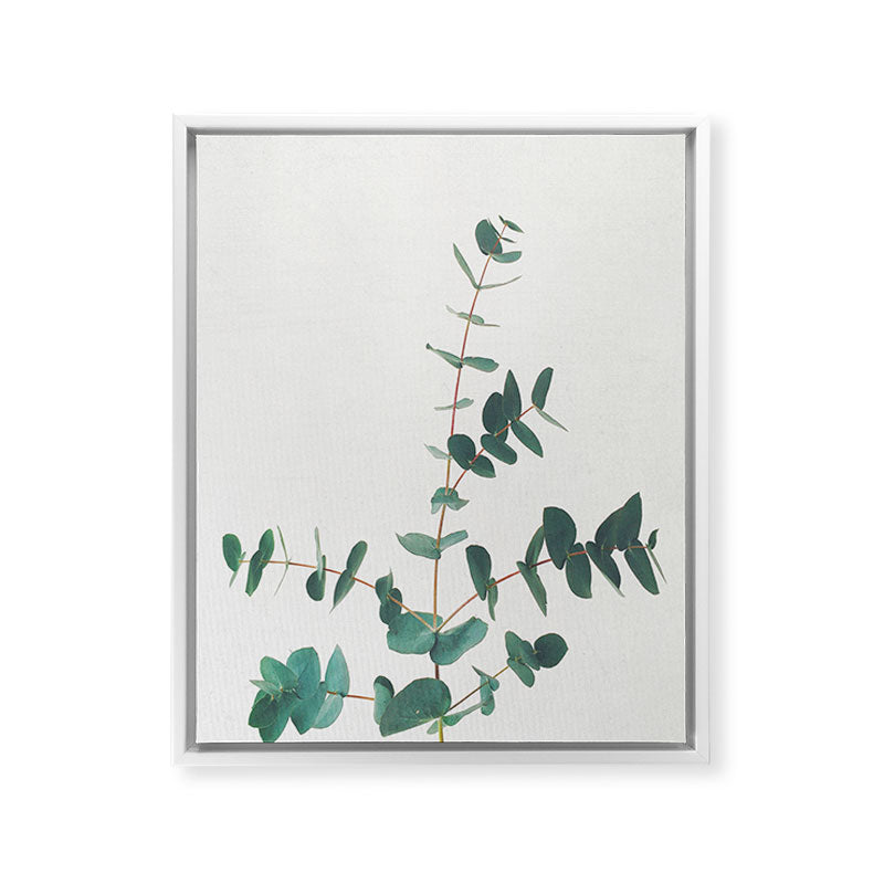Eucalyptus Framed Canvas Print Gallery Image 32