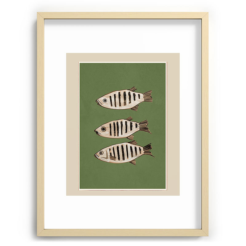 Abstract Fish Study II Framed Art Print Gallery Image 73