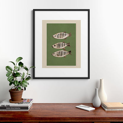 Abstract Fish Study II Framed Art Print Gallery Image 7