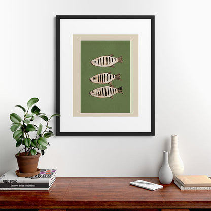 Abstract Fish Study II Framed Art Print Gallery Image 35