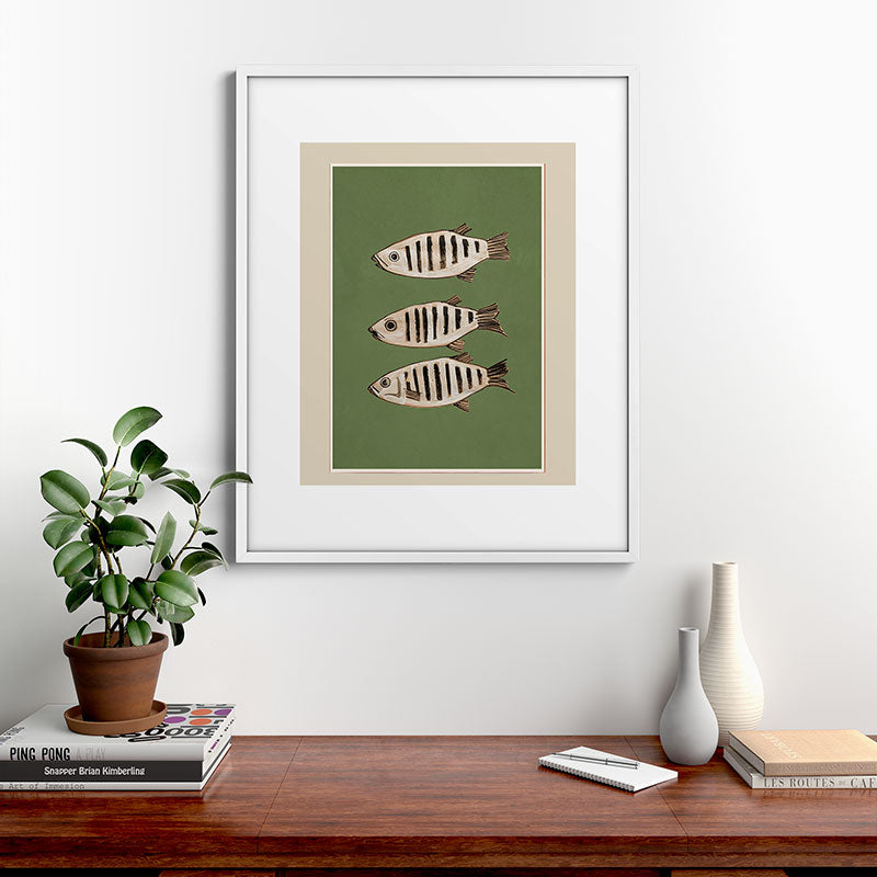 Abstract Fish Study II Framed Art Print Gallery Image 28