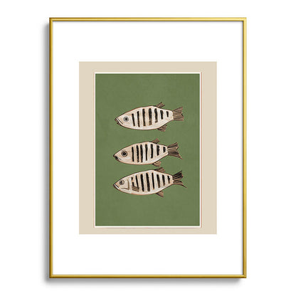 Abstract Fish Study II Framed Art Print Gallery Image 92
