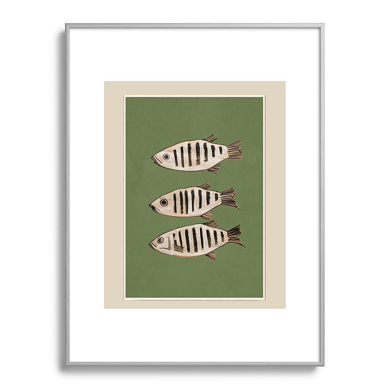 Abstract Fish Study II Framed Art Print Gallery Image 99