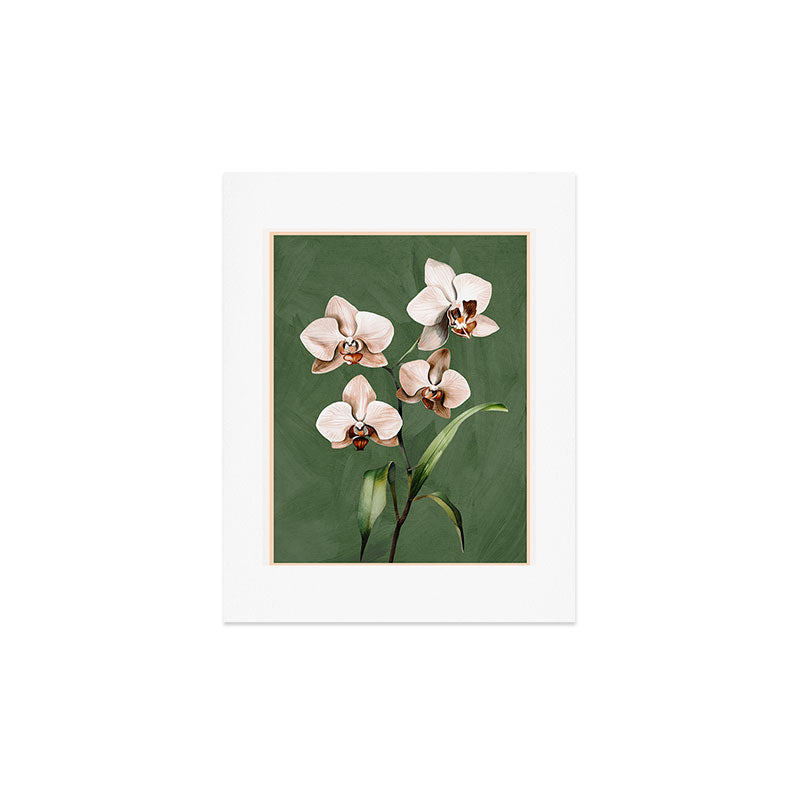 White Orchid Floral Art 4 Art Print Gallery Image 2