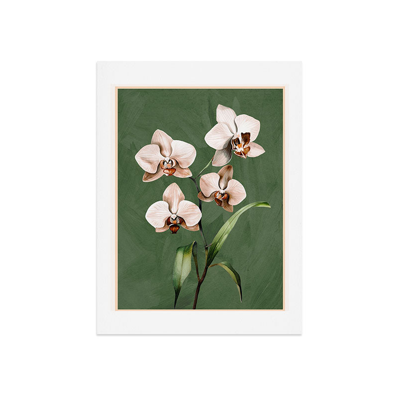 White Orchid Floral Art 4 Art Print Gallery Image 7