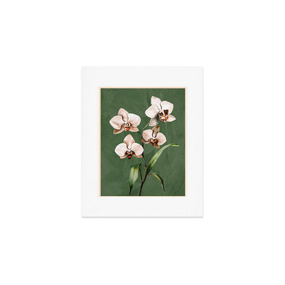White Orchid Floral Art 4 Art Print Gallery Image 1
