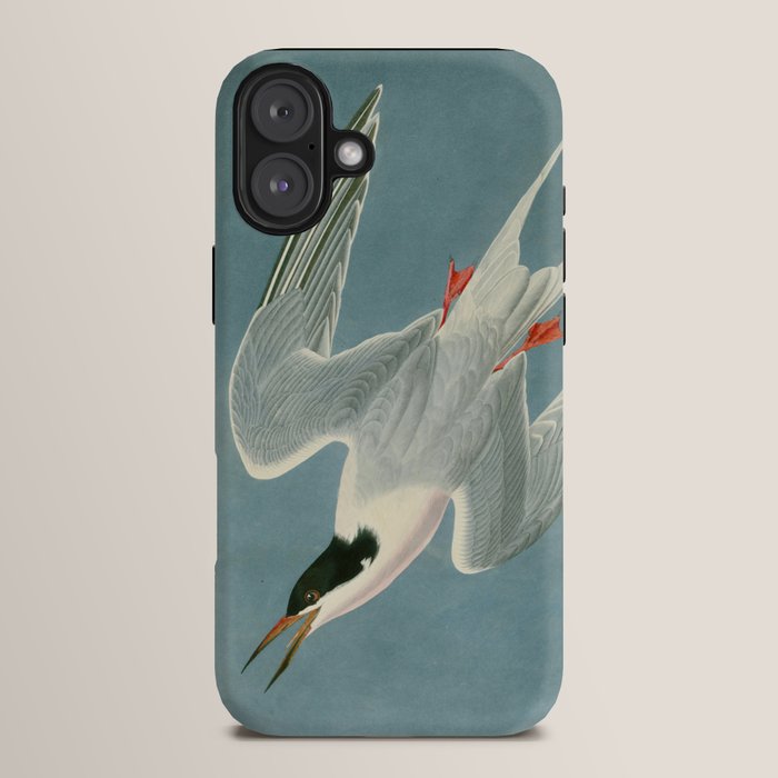 Roseate Tern - John James Audubon Birds of America iPhone Case Gallery Image 14