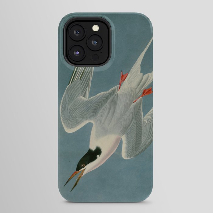 Roseate Tern - John James Audubon Birds of America iPhone Case Gallery Image 32