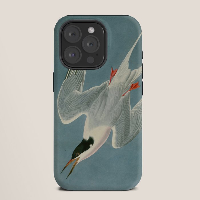 Roseate Tern - John James Audubon Birds of America iPhone Case Gallery Image 11