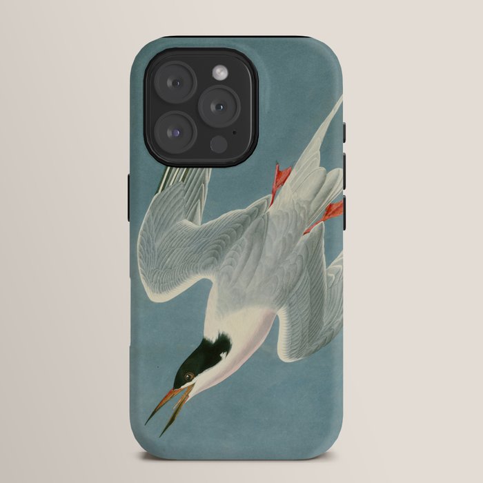 Roseate Tern - John James Audubon Birds of America iPhone Case Gallery Image 15