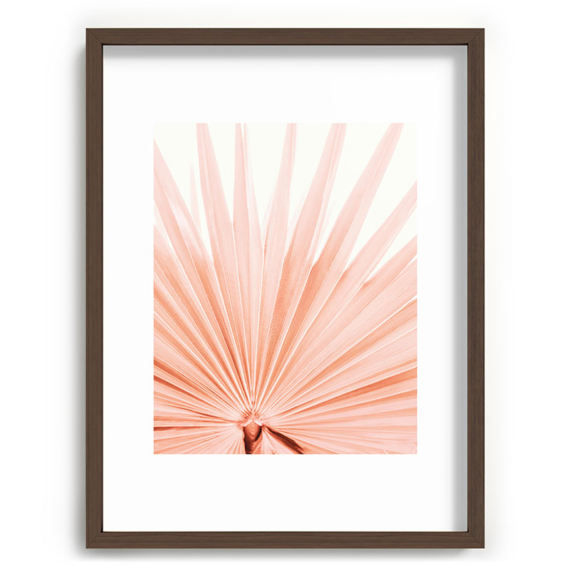 Blush Pink Fan Palm Framed Art Print Gallery Image 67