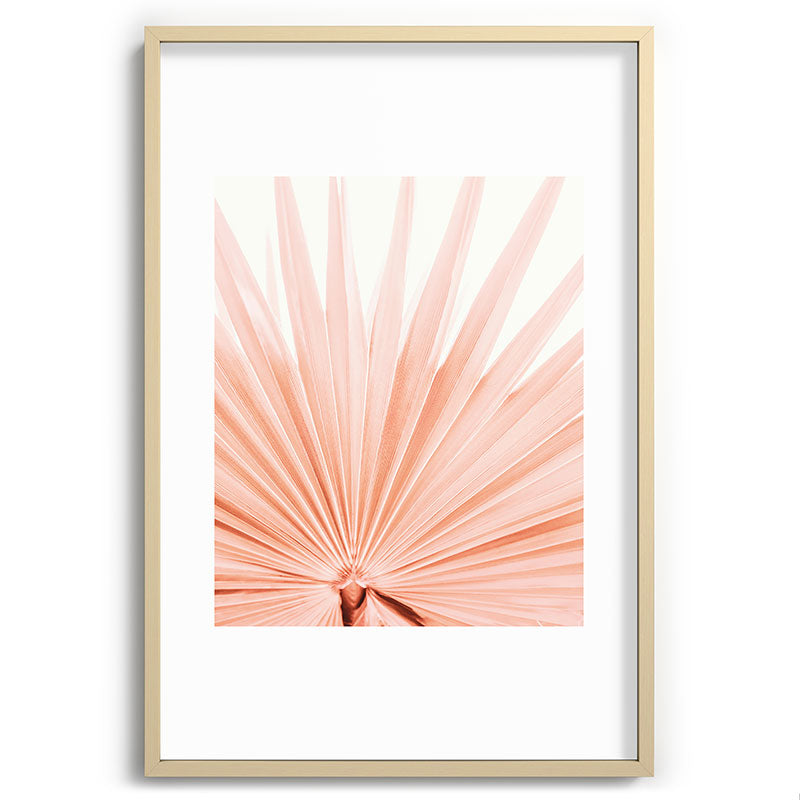 Blush Pink Fan Palm Framed Art Print Gallery Image 74