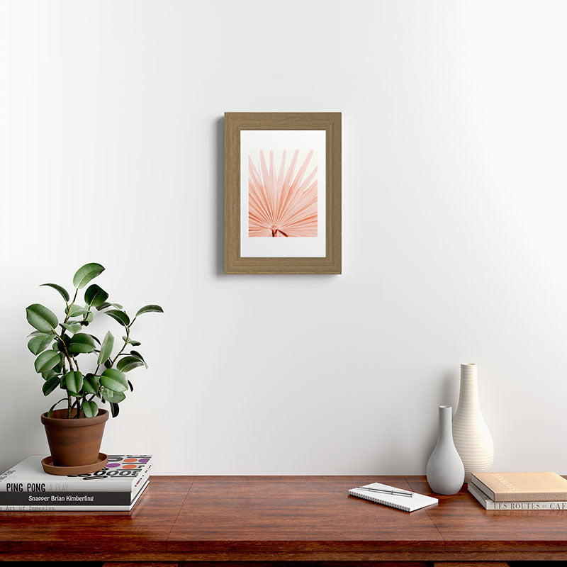 Blush Pink Fan Palm Framed Art Print Gallery Image 38