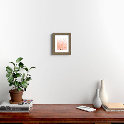 Blush Pink Fan Palm Framed Art Print Gallery Image 36
