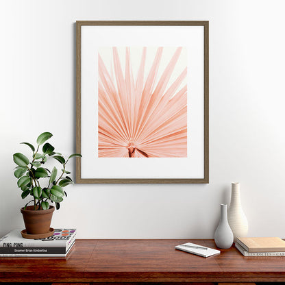 Blush Pink Fan Palm Framed Art Print Gallery Image 42