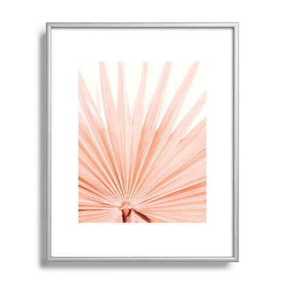 Blush Pink Fan Palm Framed Art Print Gallery Image 96