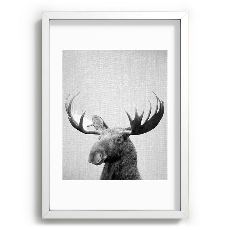 Moose - Black & White Framed Art Print Gallery Image 105