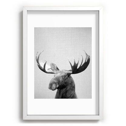 Moose - Black & White Framed Art Print Gallery Image 105