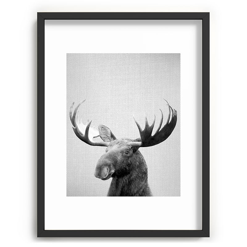 Moose - Black & White Framed Art Print Gallery Image 84