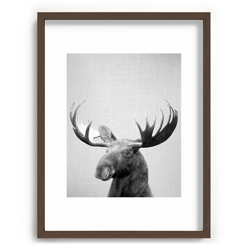 Moose - Black & White Framed Art Print Gallery Image 91