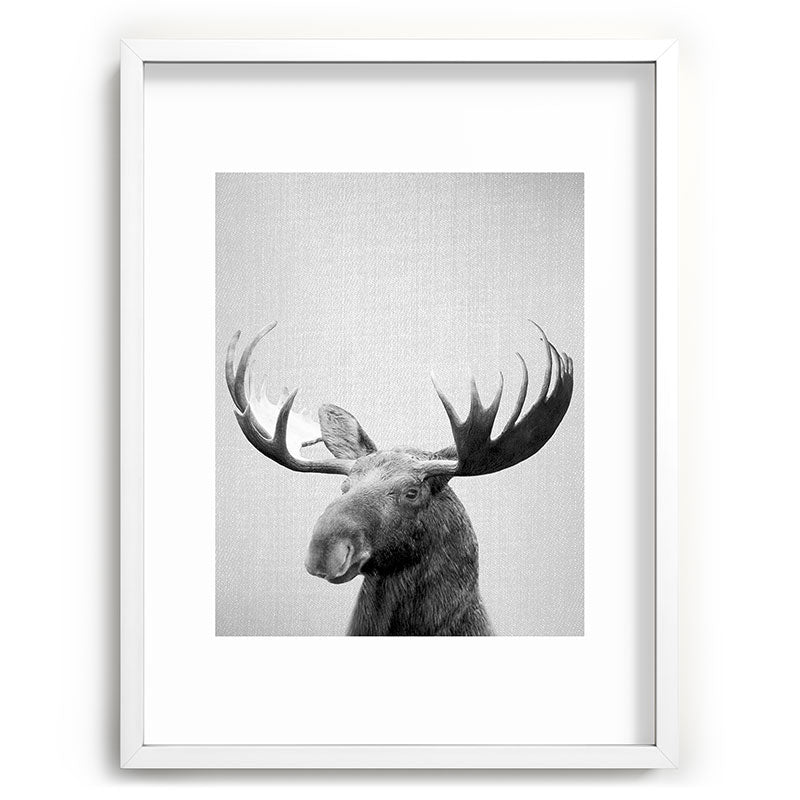 Moose - Black & White Framed Art Print Gallery Image 108