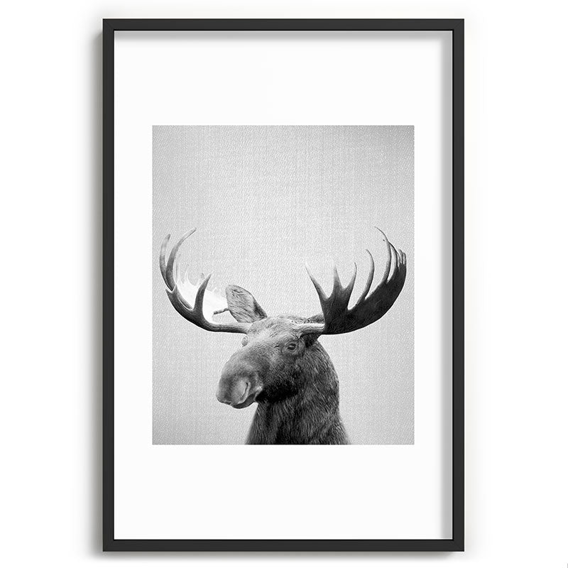 Moose - Black & White Framed Art Print Gallery Image 85