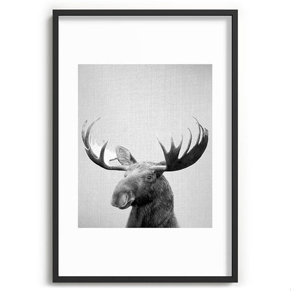 Moose - Black & White Framed Art Print Gallery Image 85