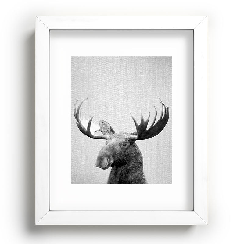 Moose - Black & White Framed Art Print Gallery Image 103