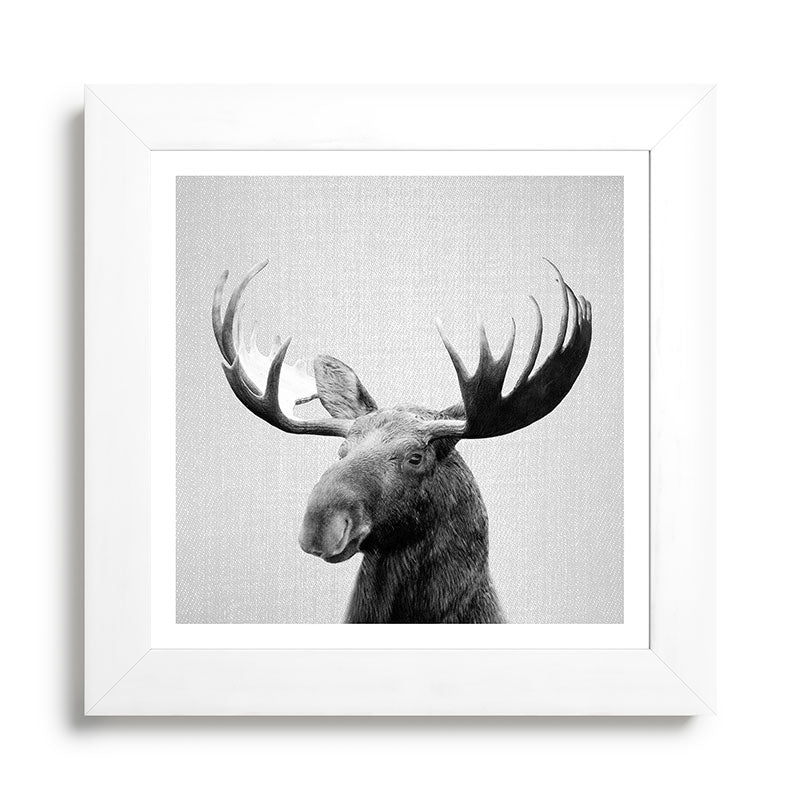 Moose - Black & White Framed Art Print Gallery Image 79