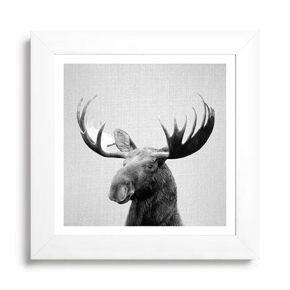 Moose - Black & White Framed Art Print Gallery Image 79