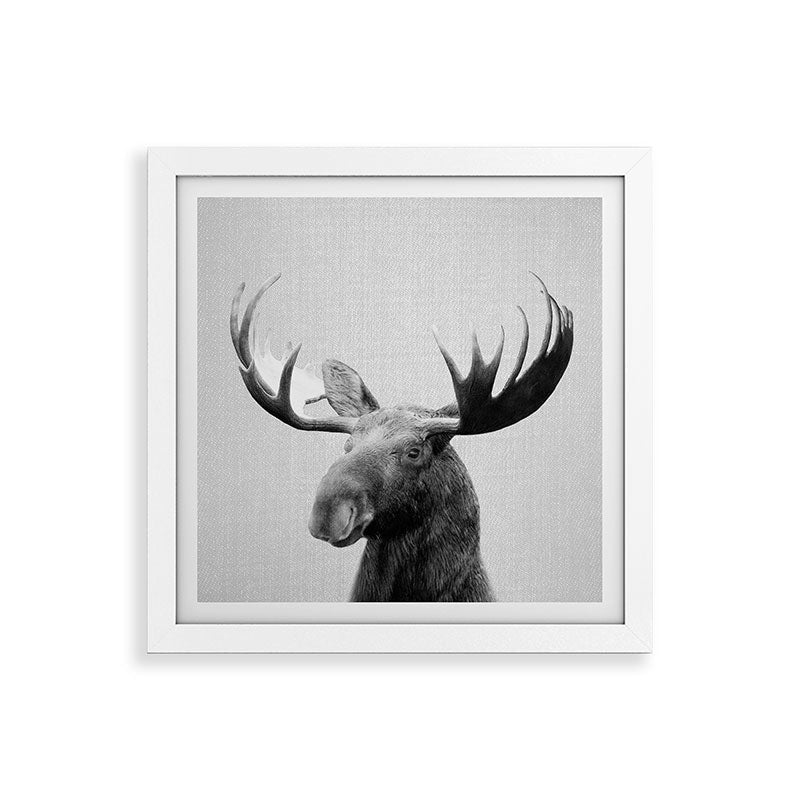 Moose - Black & White Framed Art Print Gallery Image 82